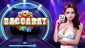 wd 40 Live Casino